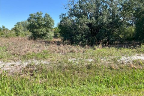 Terrain à vendre à Okeechobee, Floride № 1675351 - photo 4