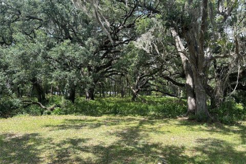 Land in Morriston, Florida № 1762083 - photo 1