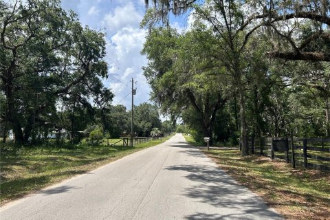 Land in Morriston, Florida № 1762083 - photo 4