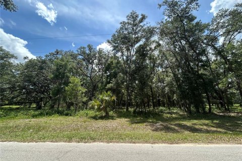 Land in Morriston, Florida № 1762083 - photo 2