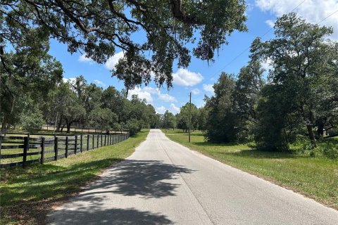 Land in Morriston, Florida № 1762083 - photo 3