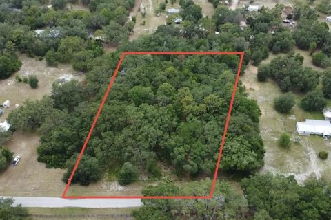 Land in Morriston, Florida № 1762083 - photo 6