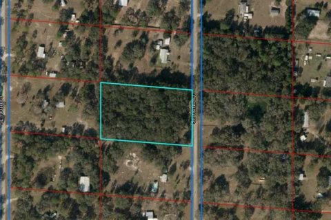 Land in Morriston, Florida № 1762083 - photo 5