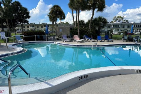 Condo in Port Charlotte, Florida, 1 bedroom  № 1919014 - photo 8