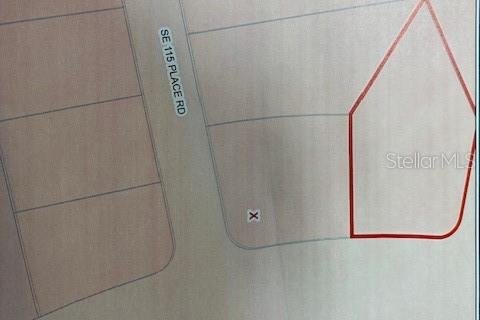 Land in Ocklawaha, Florida № 2163871