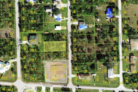 Land in Punta Gorda, Florida № 2163942