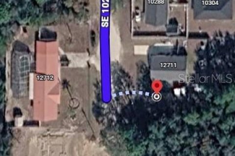 Land in Ocklawaha, Florida № 2215934 - photo 2
