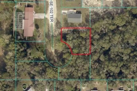 Land in Ocklawaha, Florida № 2215934