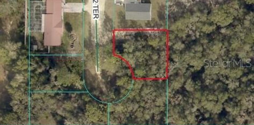 Land in Ocklawaha, Florida № 2215934