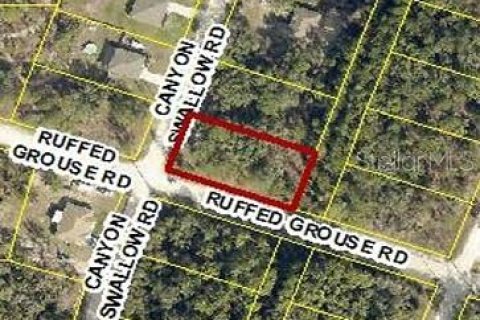 Land in Weeki Wachee, Florida № 2160862