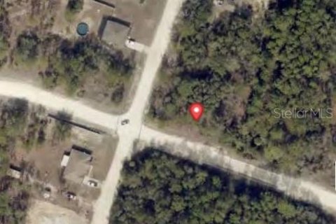 Land in Weeki Wachee, Florida № 2160862 - photo 2