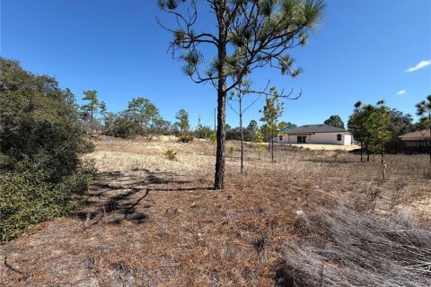Land in Citrus Springs, Florida № 2163984 - photo 2