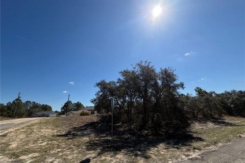 Land in Citrus Springs, Florida № 2163984 - photo 3