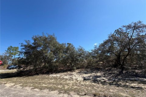 Land in Citrus Springs, Florida № 2163984