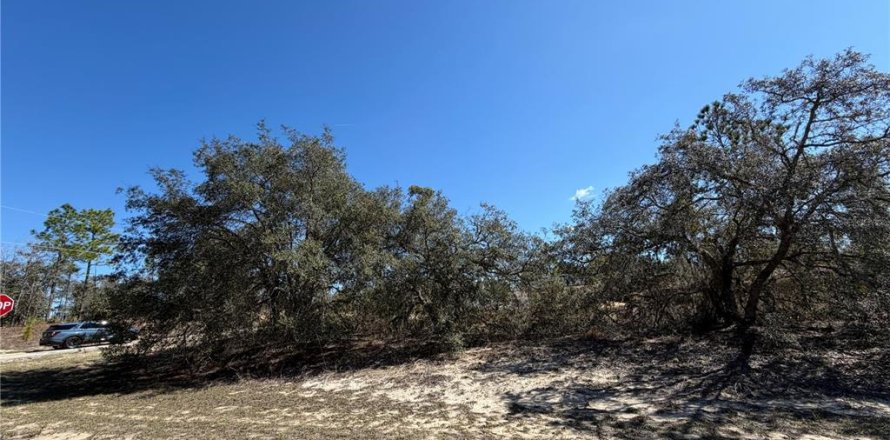 Land in Citrus Springs, Florida № 2163984