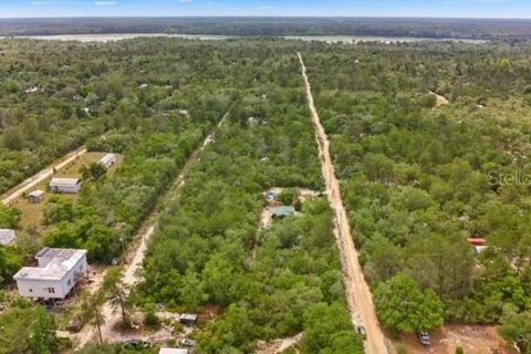 House in Fort MC Coy, Florida 2 rooms, 33.82 sq.m. № 2217793 - photo 15