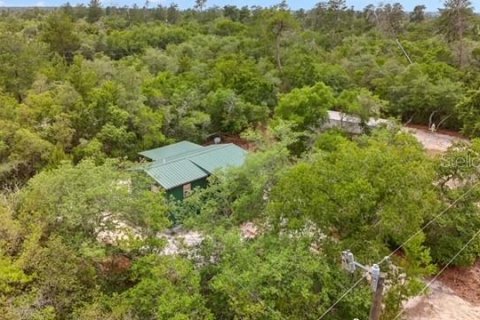 House in Fort MC Coy, Florida 2 rooms, 33.82 sq.m. № 2217793 - photo 14