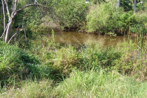 Immobilier commercial à vendre à Port St. Lucie, Floride № 2184459 - photo 3