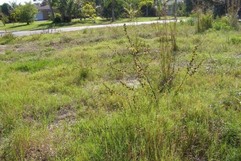 Immobilier commercial à vendre à Port St. Lucie, Floride № 2184459 - photo 5