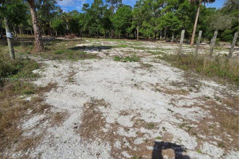 Commercial property in Clewiston, Florida № 1859869 - photo 5