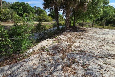Commercial property in Clewiston, Florida № 1859869 - photo 2
