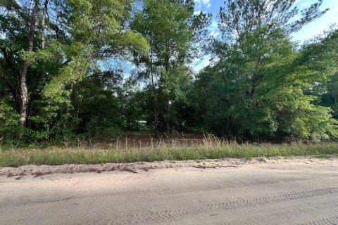 Land in Interlachen, Florida № 2215021