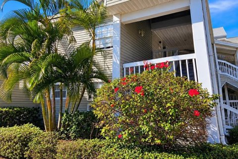 Condo à Saint Petersburg, Floride, 2 chambres  № 2410421