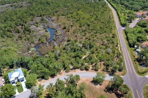 Land in Hudson, Florida № 1163470 - photo 6