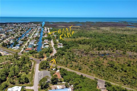 Land in Hudson, Florida № 1163470 - photo 3