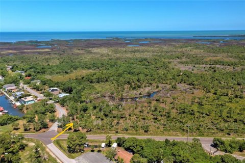 Land in Hudson, Florida № 1163470 - photo 7