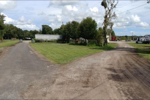 Land in Wimauma, Florida № 226191 - photo 3