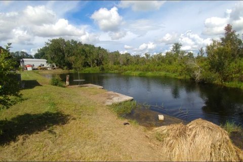 Land in Wimauma, Florida № 226191 - photo 10
