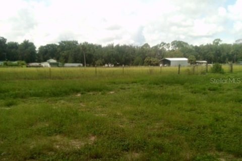 House in Ocklawaha, Florida 2 bedrooms, 66.89 sq.m. № 1829349 - photo 14