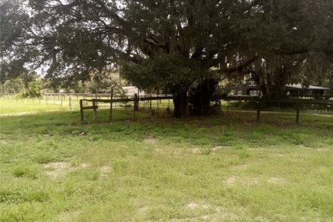 House in Ocklawaha, Florida 2 bedrooms, 66.89 sq.m. № 1829349 - photo 16