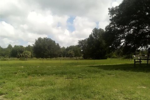 House in Ocklawaha, Florida 2 bedrooms, 66.89 sq.m. № 1829349 - photo 15