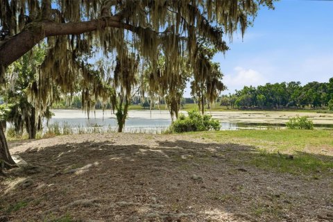Casa en venta en Dade City, Florida, 4 dormitorios, 284.65 m2 № 2214920 - foto 10