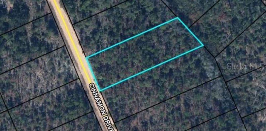Land in Marianna, Florida № 2162284