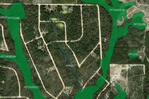 Land in Marianna, Florida № 2162284 - photo 5