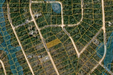 Land in Marianna, Florida № 2162284 - photo 3