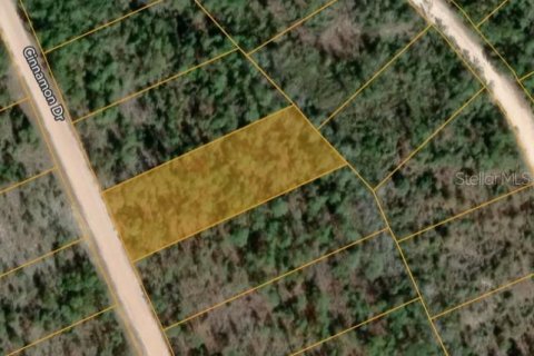 Land in Marianna, Florida № 2162284 - photo 2
