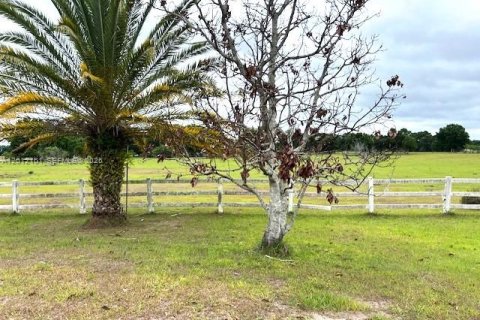 House in Lorida, Florida 4 bedrooms № 2171127 - photo 20