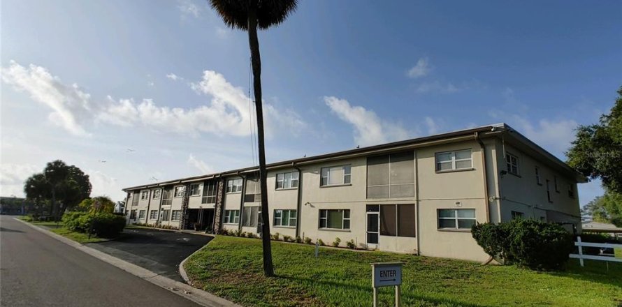 Condo in Saint Petersburg, Florida, 1 bedroom  № 1775687