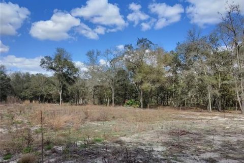 Terrain à vendre à Archer, Floride № 2214117 - photo 4