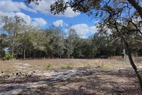 Terrain à vendre à Archer, Floride № 2214117 - photo 6