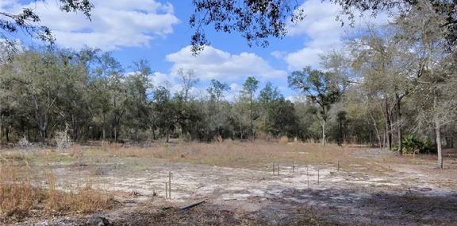 Terrain à Archer, Floride № 2214117