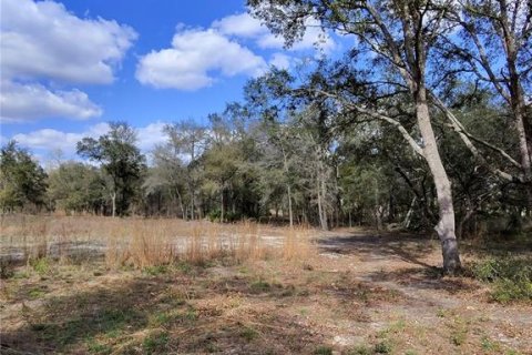 Terrain à vendre à Archer, Floride № 2214117 - photo 2