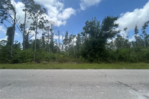 Land in Port Charlotte, Florida № 2165793 - photo 3