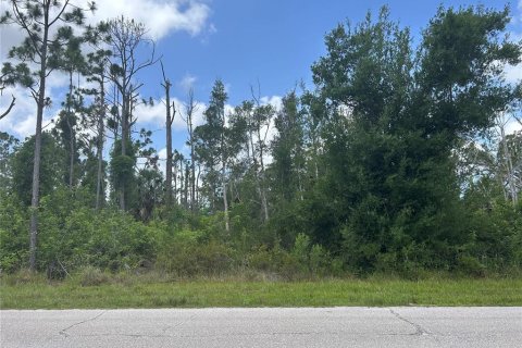 Land in Port Charlotte, Florida № 2165793 - photo 2