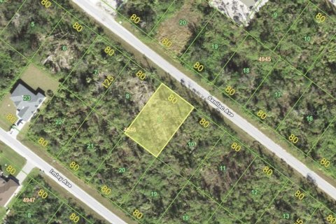 Land in Port Charlotte, Florida № 2165793