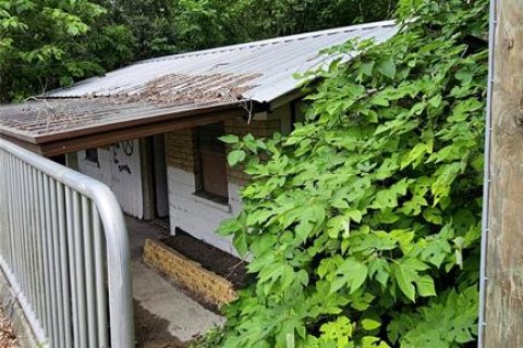 Terreno en venta en Oxford, Florida № 1810446 - foto 5